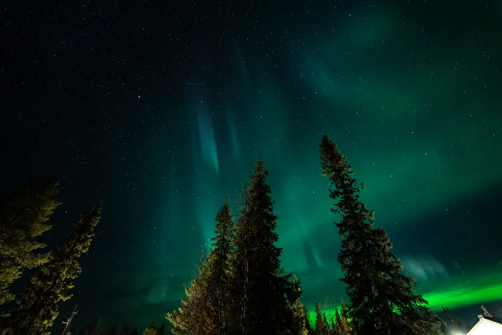 Aurora borealis in a starry sky